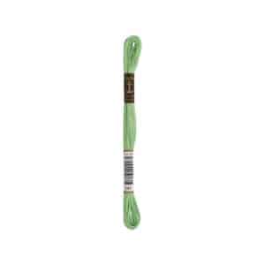 Anchor Coats Sticktwist 8m 00241 Zartgrün