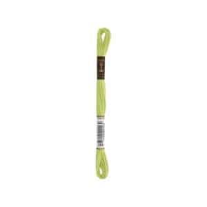 Anchor Coats Sticktwist 8m 00254 Apfelgrün